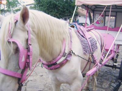 pink horse drawn carriage with Hello Kitty