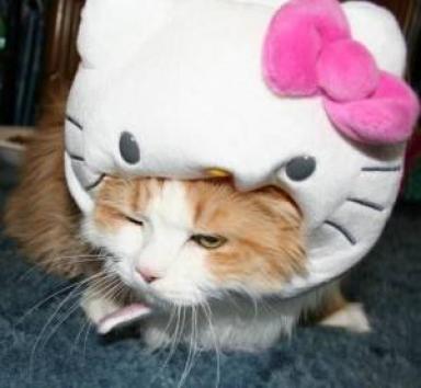 Hello Kitty cat head