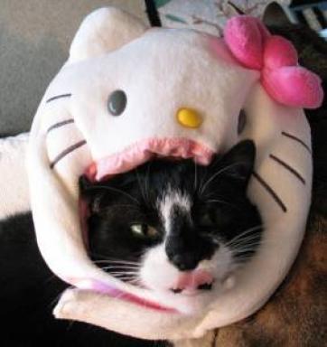 Hello Kitty cat head