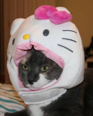 Hello Kitty cat head