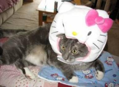 Hello Kitty cat head