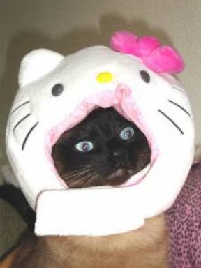 Hello Kitty cat head