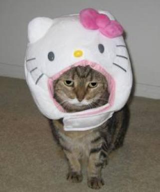 The Cathood of the Travelling Hello  Kitty  Head Hello  