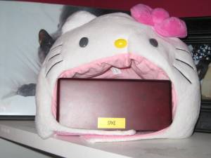 Hello Kitty cat hood of death