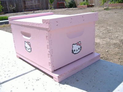 Hello Kitty bee hive